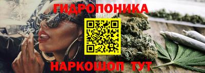 трава Партизанск