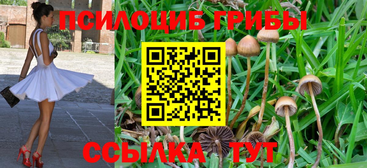 Галлюциногенные грибы прущие грибы  Вход с VPN  Псилоцибиновые грибы мухоморы  Рубцовск 