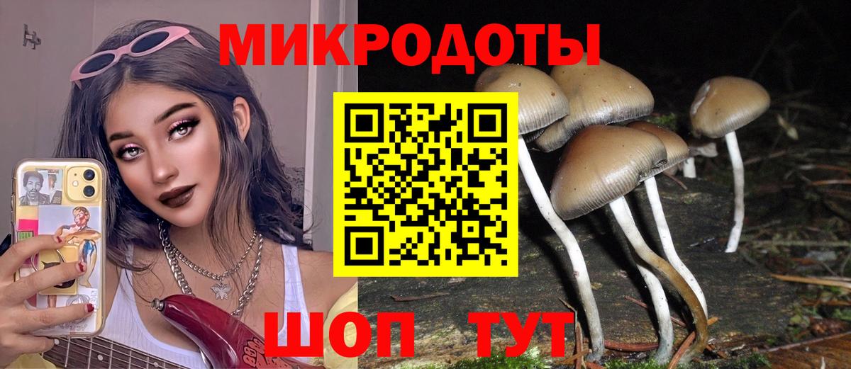 Псилоцибиновые грибы мицелий Рубцовск